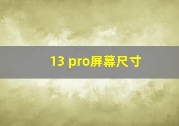 13 pro屏幕尺寸